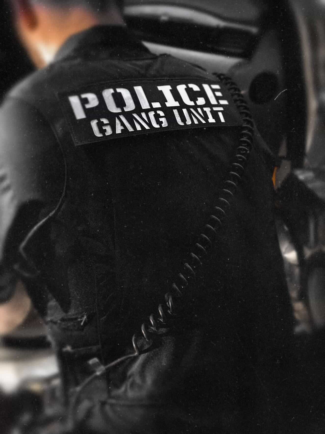 Custom Order Gang Unit